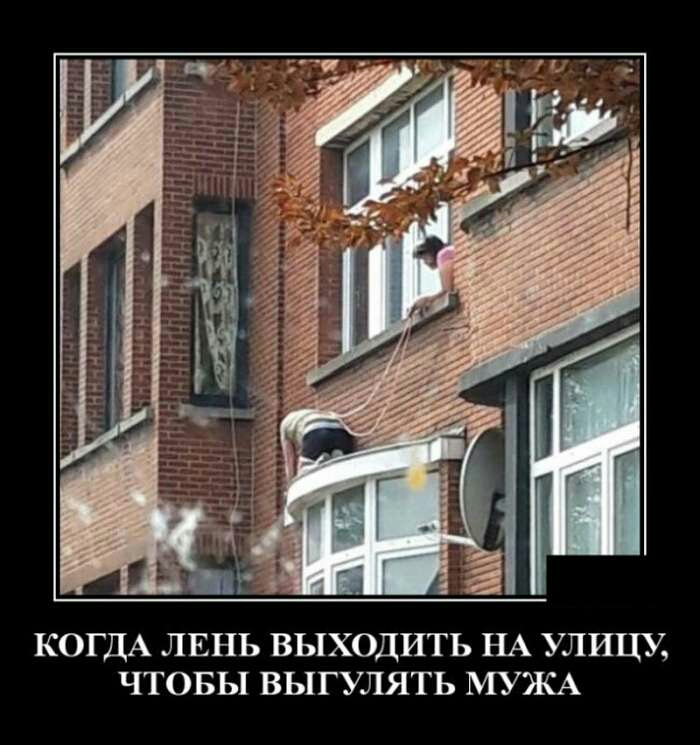 КОГДА ЛЕНЬ ВЬ1ХОДИТЬ НА УЛИЦУ ЧТОБЫ ВЫГУЛЯТЬ МУЖА