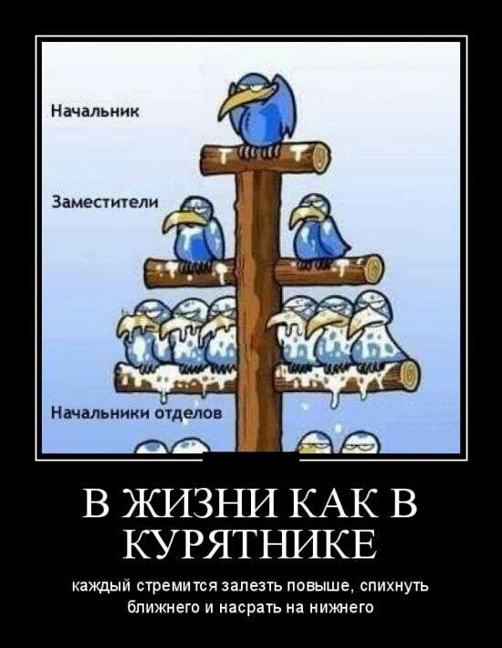 Начальник Заменители КУ РЯТНИКЕ каждый стремится залезть повыше впихнуть бпижнегп и насрать на нижнего