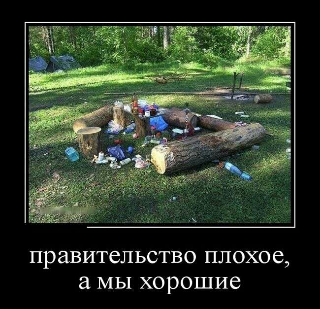 правительство плохое МЫ хорошие