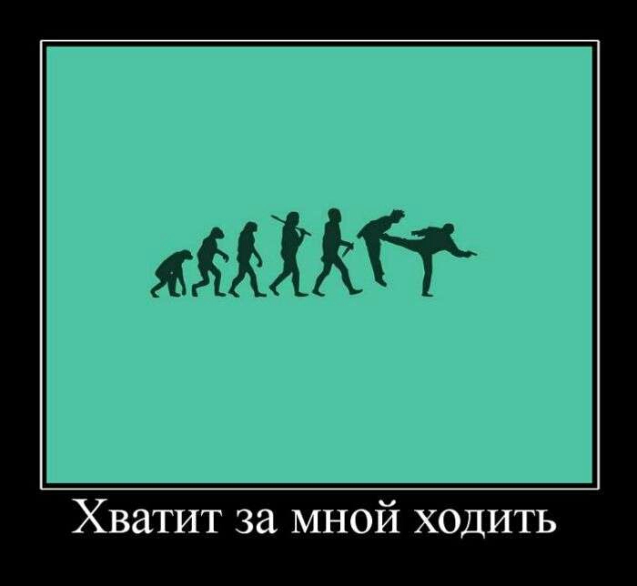 Хватит за мной ходить