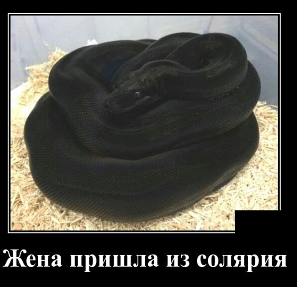 Жена пришла из солярия