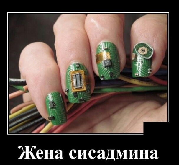 77 А Жена сисадмина