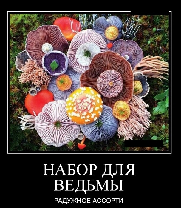 НАБОР ДЛЯ ВЕДЬМЫ РАДУЖН ОЕ АССОРТИ