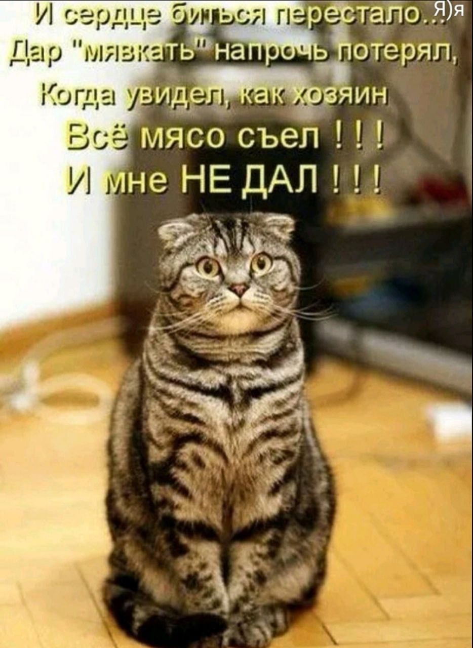 И сердце биться перестало. Дар 