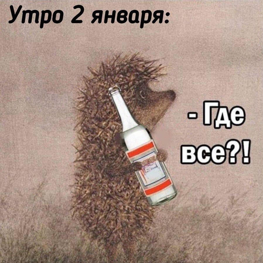 Утро 2 января