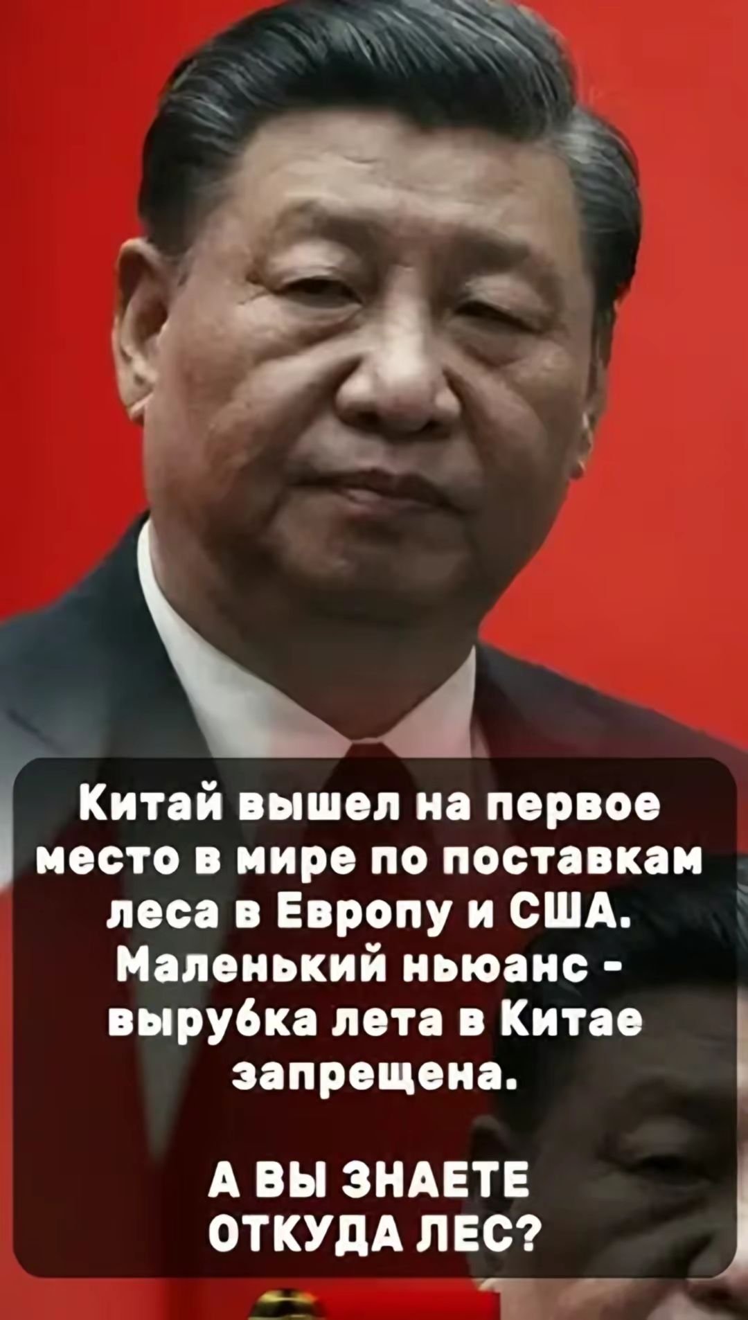 4 Китай вышел на первое иосто в мире по поставкам леса в Европу и США Маленький ньюанс вырубка лета в Китае запрещена А ВЫ ЗНАЕТЕ ОТКУДА ЛЕС аоа Ч