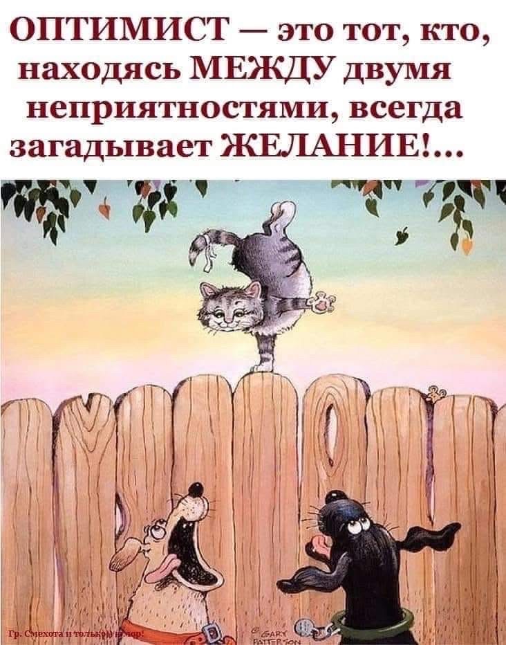 ОПТИМИСТ это тот кто находясь МЕЖДУ двумя неприятностями всегда загадывает ЖЕЛАНИЕ аЬ