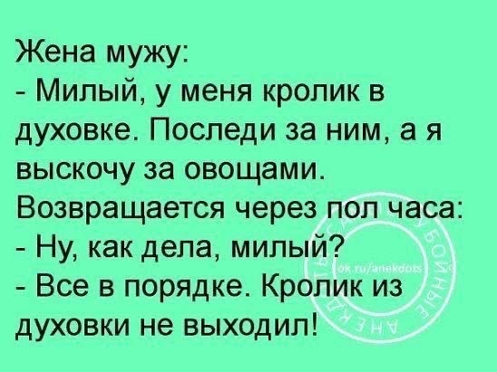 Жена мужу Милый у меня кролик в духовке Последи за ним а я выскочу за овощами Возвращается через пол часа Ну как дела милый Все в порядке Кролик из духовки не выходил