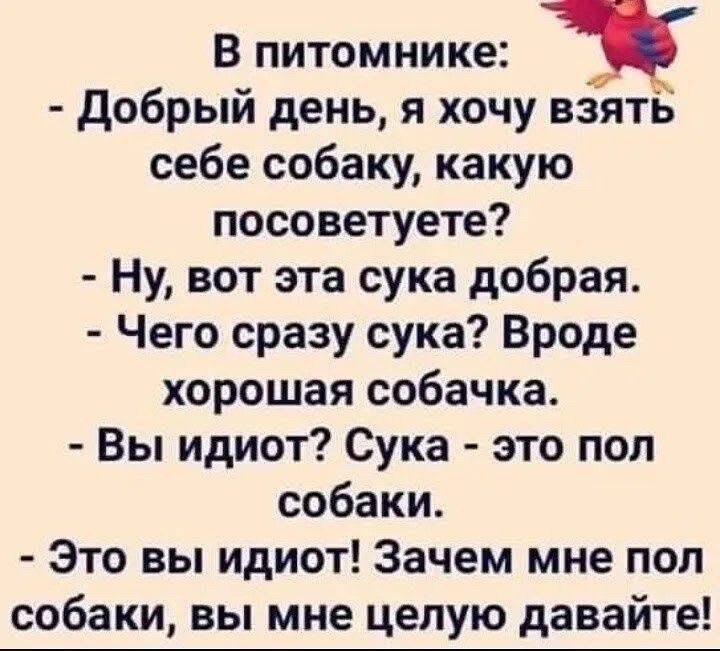 В питомнике:
- Добрый день, я хочу взять себе собаку, какую посоветуете?
- Ну, вот эта сука добрая.
- Чего сразу сука? Вроде хорошая собачка.
- Вы идиот? Сука - это пол собаки.
- Это вы идиот! Зачем мне пол собаки, вы мне целую давайте!