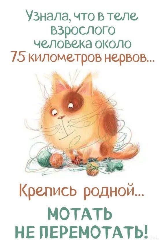 Узнала, что в теле взрослого человека около 75 километров нервов...
Крепись родной...
Мотать не перемотать!
