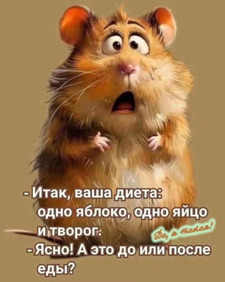 - Итак, ваша диета: одно яблоко, одно яйцо и творог.
- Ясно! А это до или после еды?