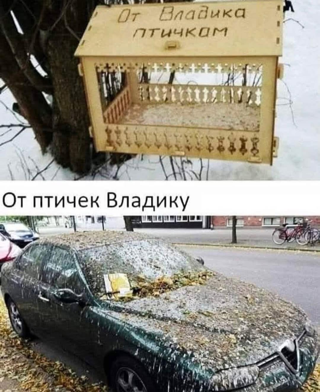 От Владдика птичкам
От птичек Владику
