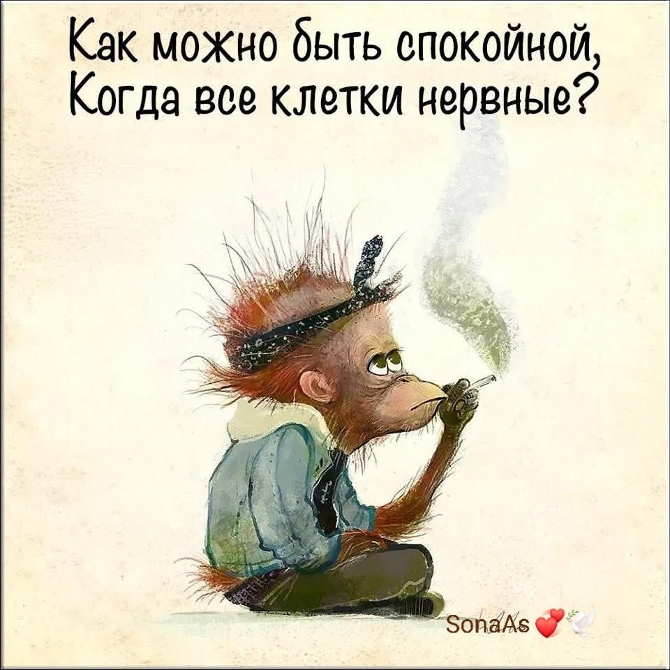 Как можно быть спокойной, Когда все клетки нервные?