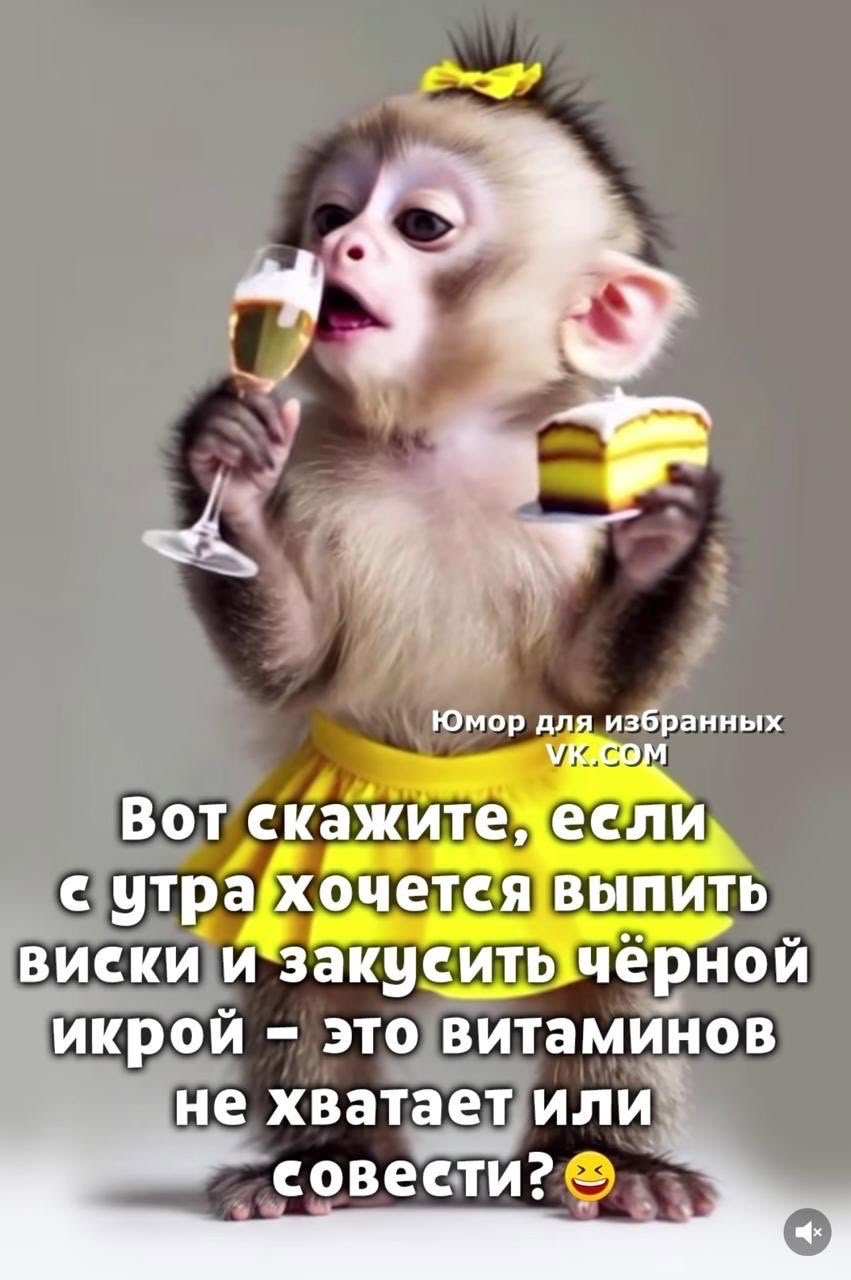 Вот скажите, если с утра хочется выпить виски и закусить чёрной икрой – это витаминов не хватает или совести? 😄