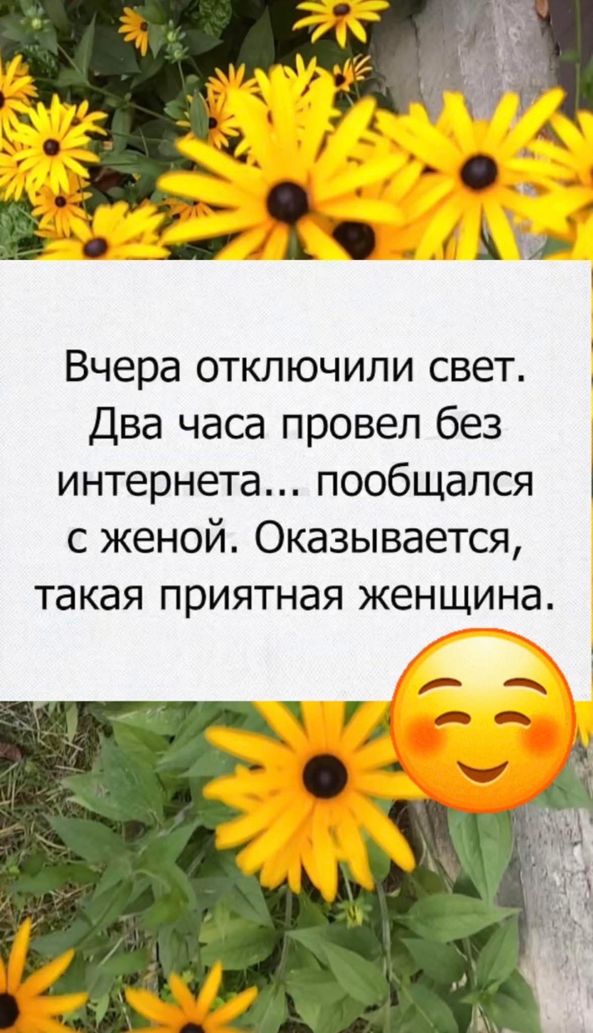 Вчера отключили свет. Два часа провел без интернета... пообещался с женой. Оказывается, такая приятная женщина.