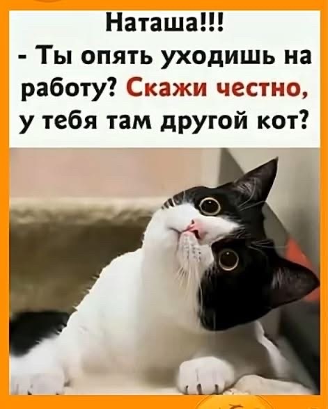 Наташа!!! - Ты опять уходишь на работу? Скажи честно, у тебя там другой кот?