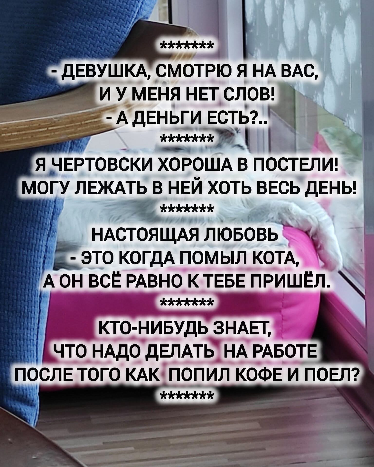 ДЕВУШКА, СМОТРЮ Я НА ВАС, И У МЕНЯ НЕТ СЛОВ! - А ДЕНЬГИ ЕСТЬ?.. Я ЧЕРТОВСКИ ХОРОША В ПОСТЕЛИ! МОГУ ЛЕЖАТЬ В НЕЙ ХОТЬ ВЕСЬ ДЕНЬ! НАСТОЯЩАЯ ЛЮБОВЬ - ЭТО КОГДА ПОМЫЛ КОТА, А ОН ВСЁ РАВНО К ТЕБЕ ПРИШЁЛ. КТО-НИБУДЬ ЗНАЕТ, ЧТО НАДО ДЕЛАТЬ НА РАБОТЕ ПОСЛЕ ТОГО КАК ПОПИЛ КОФЕ И ПОЕЛ?