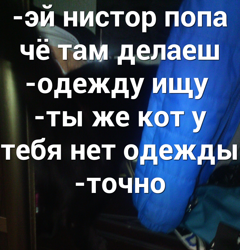 эй__ нистор попа чёчтам делаеш одежду ИЩУ ты же кот у тебя нет одежды точно