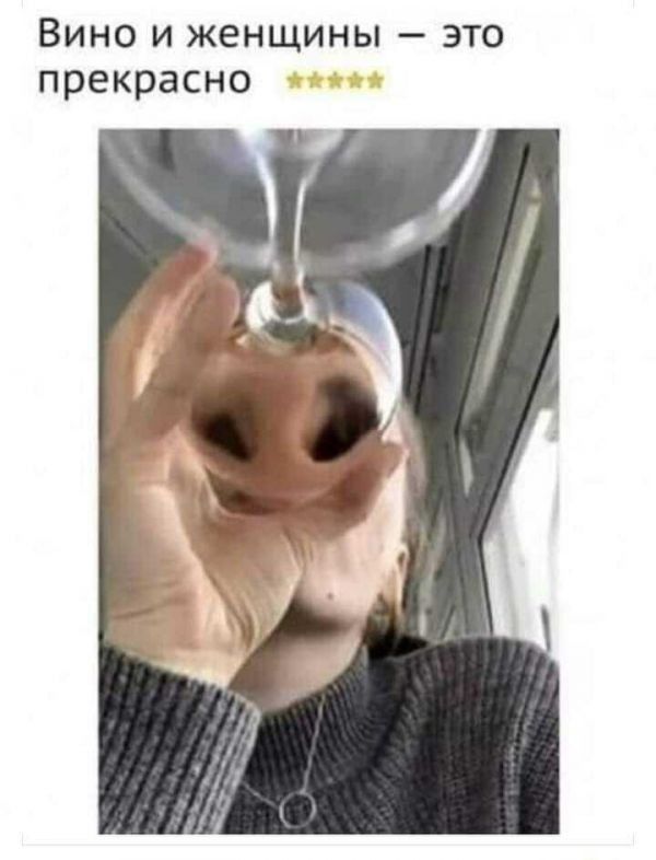 Вино и женщины — это прекрасно