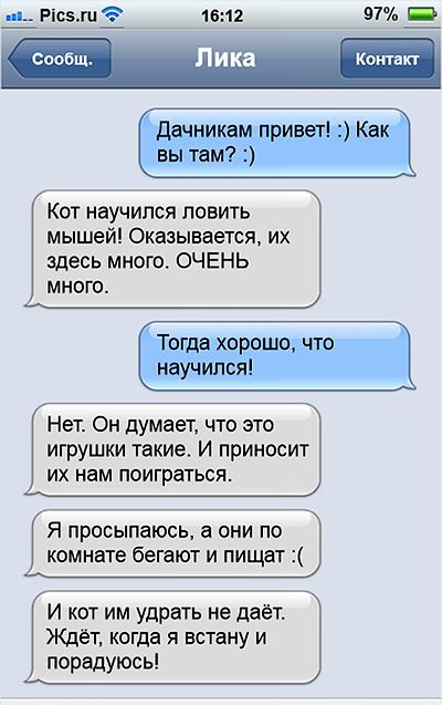Дачникам привет! :) Как вы там? :)\nКот научился ловить мышей! Оказывается, их здесь много. ОЧЕНЬ много.\nТогда хорошо, что научился!\nНет. Он думает, что это игрушки такие. И приносит их нам поиграться.\nЯ просыпаюсь, а они по комнате бегают и пищат :(\nИ кот им удрать не даёт. Ждёт, когда я встану и порадуюсь!