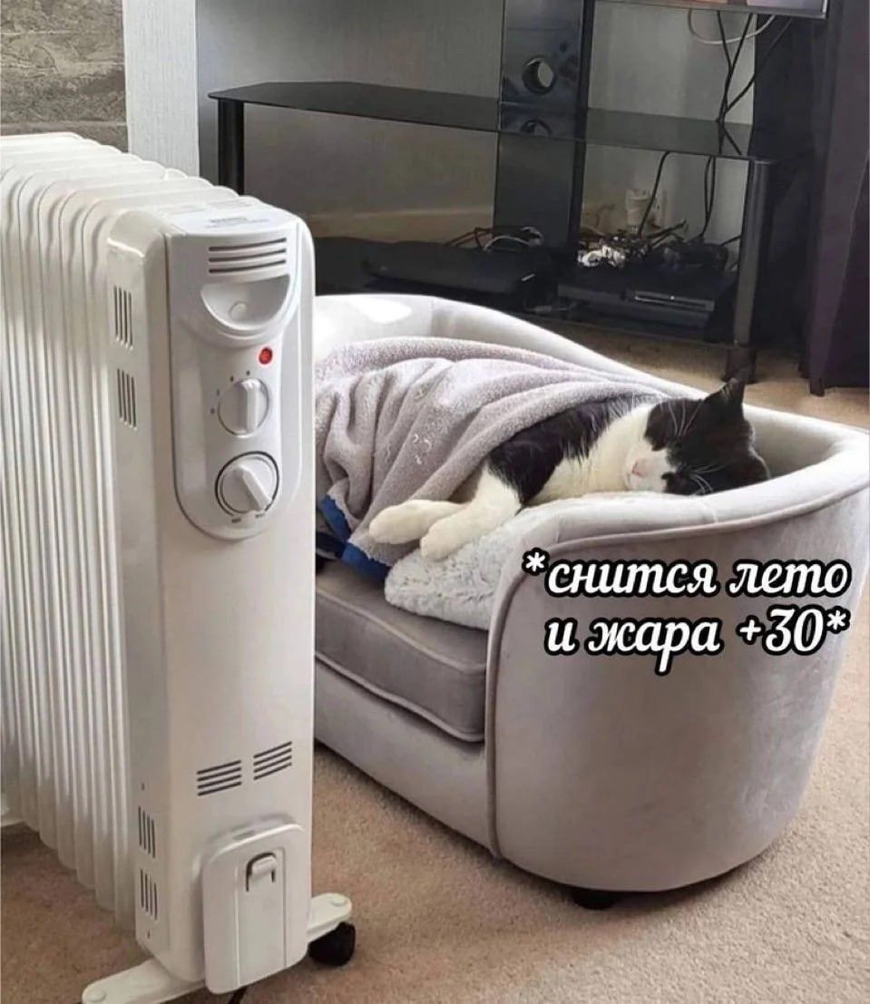 *снится лето и жара +30*