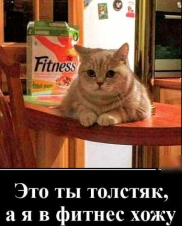 Это ты толстяк, а я в фитнес хожу