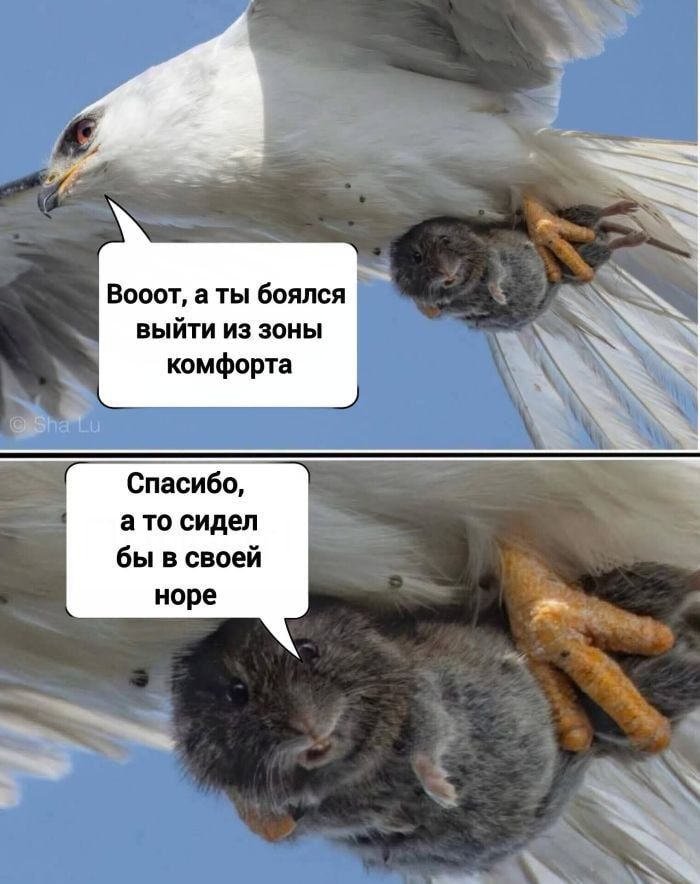 Вооот, а ты боялся выйти из зоны комфорта
Спасибо, а то сидел бы в своей норе