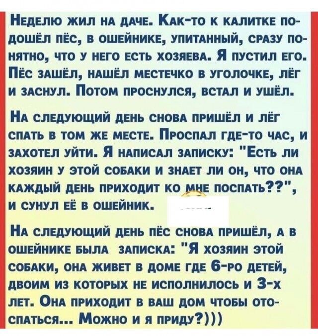 Неделю жил на даче. Как-то к калитке подошёл пёс, с ошейнике, упитанный, сразу понятно, что у него есть хозяева. Я пустил его. Пёс зашёл, нашёл местечко в уголочке, лёг и заснул. Потом проснулся, встал и ушёл.

На следующей день снова пришёл и лёг спать в том же месте. Пропал где-то час, и захотел уйти. Я написал записку: 