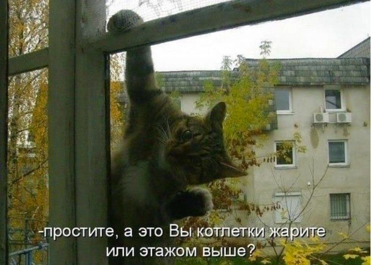 -простите, а это Вы котлетки жарите или этажом выше?