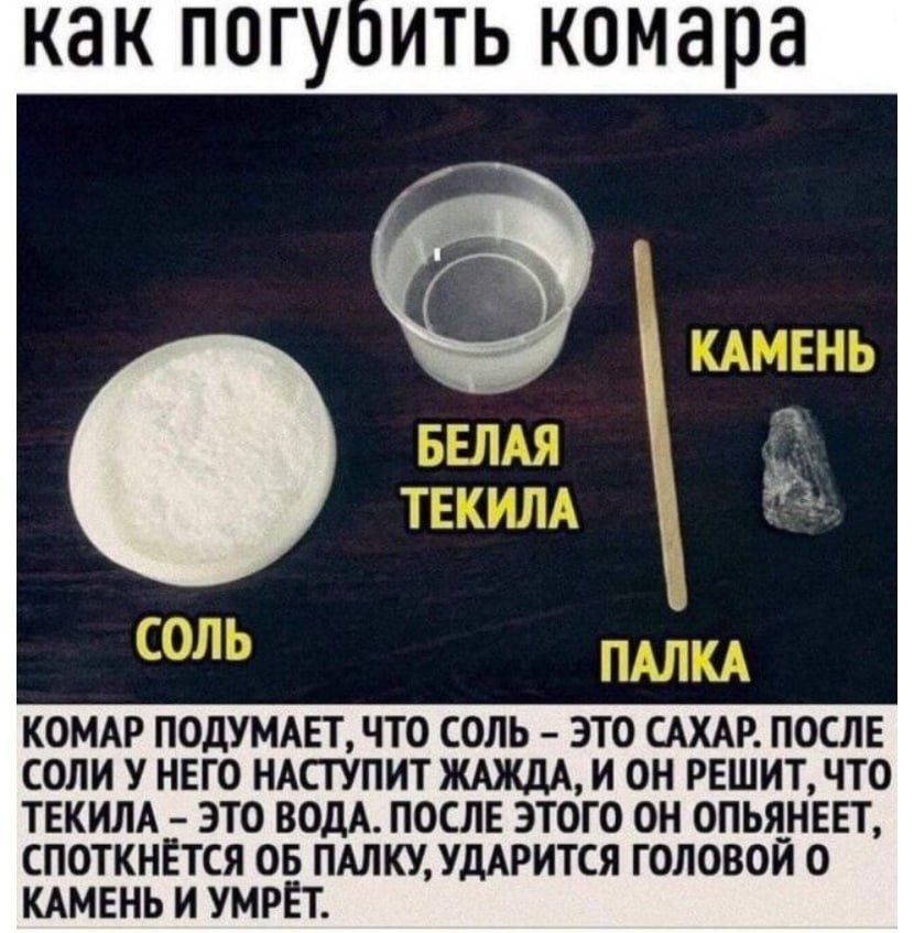 как погубить комара

КОМАР ПОДУМЫВАЕТ, ЧТО СОЛЬ – ЭТО САХАР. ПОСЛЕ СОЛИ У НЕГО НАСТУПИТ ЖАЖДА, И ОН РЕШИТ, ЧТО ТЕКИЛА – ЭТО ВОДА. ПОСЛЕ ЭТОГО ОН ОПЬЯНЕЕТ, СПОТКНЁТЬСЯ ОБ ПАЛКУ, УДАРИТСЯ ГОЛОВОЙ О КАМЕНЬ И УМРЁТ.