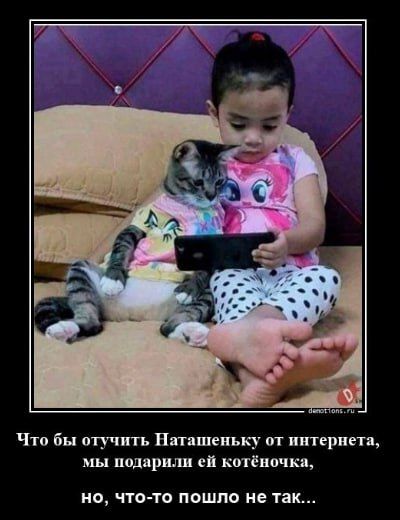 Что бы отучить Наташеньку от интернета, мы подарили ей котёночка, но, что-то пошло не так...