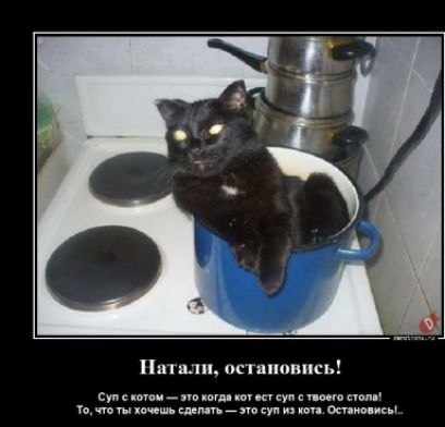 Натали, остановись! Суп с котом — это когда кот ест суп с твоего стола! То, что ты хочешь сделать — это суп из кота. Остановись...
