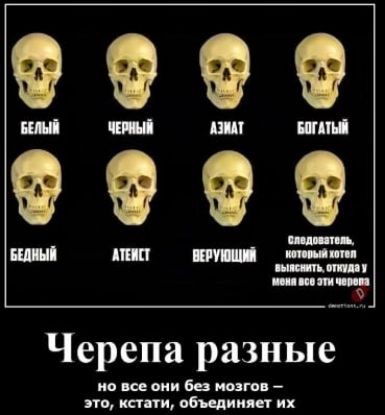 Черепа разные
но все они без мозгов – это, кстати, объединяет их
Следователи, которые хотели выяснить, откуда у меня все эти черепа