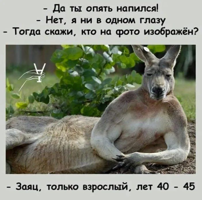 Да ты опять напился! - Нет, я ни в одном глазу - Тогда скажи, кто на фото изображен? - Заяц, только взрослый, лет 40 - 45