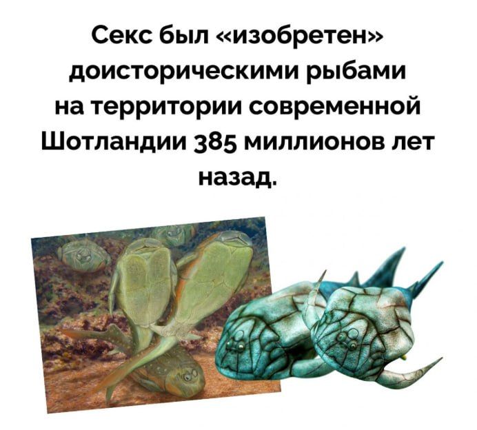 Секс был «изобретен» доисторическими рыбами на территории современной Шотландии 385 миллионов лет назад.