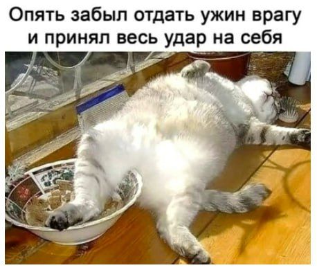 Опять забыл отдать ужин врагу и принял весь удар на себя