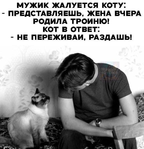 МУЖИК ЖАЛУЕТСЯ КОТУ:
- ПРЕДСТАВЛЯЕШЬ, ЖЕНА ВЧЕРА РОДИЛА ТРОЙНУ!
КOT В ОТВЕТ:
- НЕ ПЕРЕЖИВАЙ, РАЗДАШЬ!