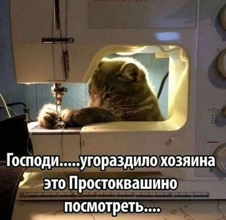 Господи......угораздило хозяина это Простоквашино посмотреть....