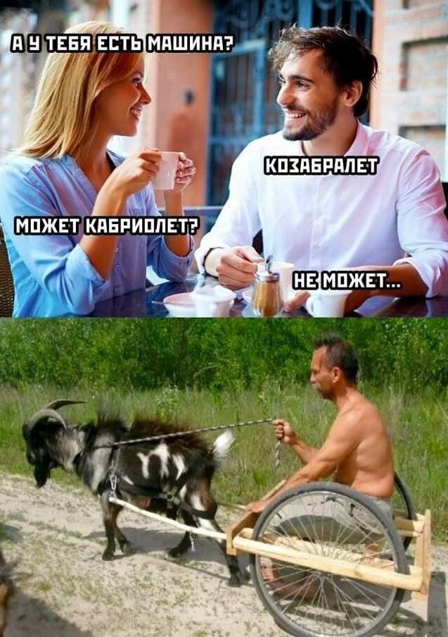 А У ТЕБЯ ЕСТЬ МАШИНА?
КОЗАБАРЛЕТ
МОЖЕТ КАБРИЛЕТ?
НЕ МОЖЕТ...