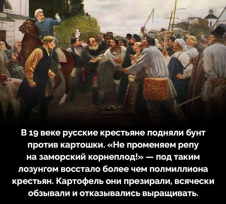 В 19 веке русские крестьяне подняли бунт против картошки. «Не променяем репу на заморский корнеплод!» — под таким лозунгом восстало более чем полмиллиона крестьян. Картофель они презирали, всячески обзывавали и отказывались выращивать.