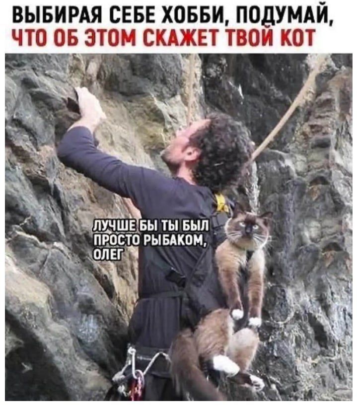ВЫБИРАЯ СЕБЕ ХОББИ, ПОДУМАЙ, ЧТО ОБ ЭТОМ СКАЖЕТ ТВОЙ КОТ
ЛУЧШЕ БЫ ТЫ БЫЛ ПРОСТО РЫБАКОМ, ОЛЕГ