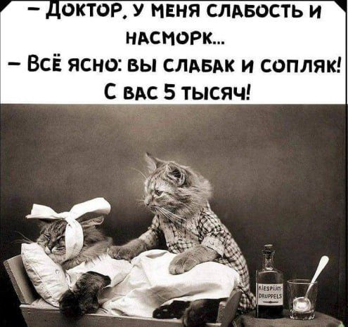 Доктор, у меня слабость и насморк... Всё ясно: вы слабак и сопляк! С вас 5 тысяч!
