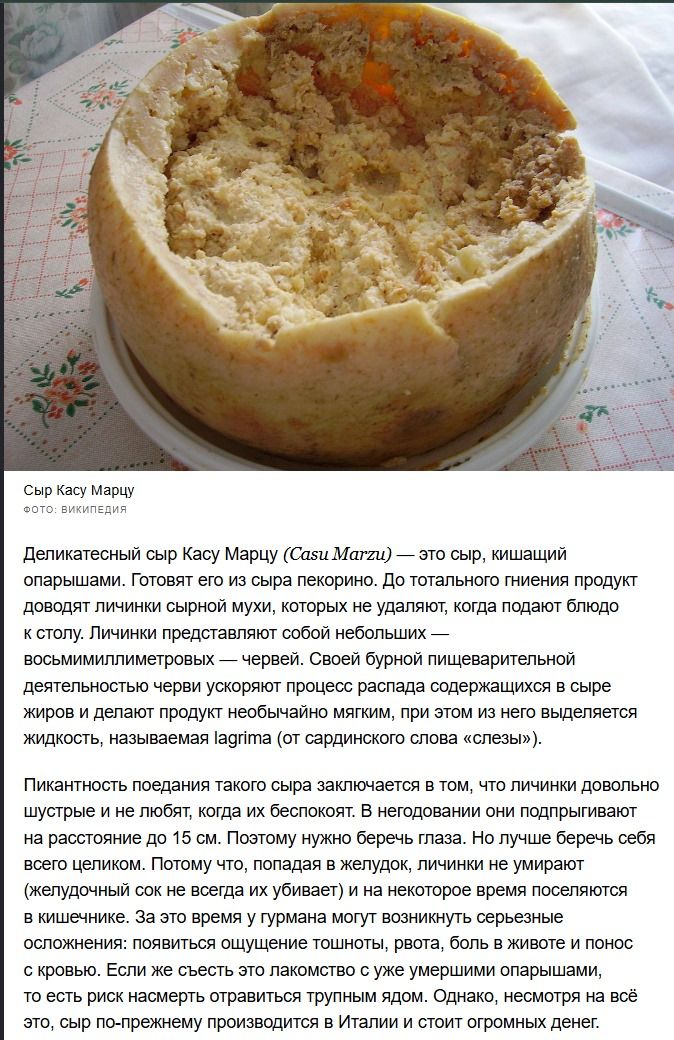 Сыр Касу Марцу (Casu Marzu) — это сыр, кишащий опарышами. Готовят его из сыра пекорино. До полного гниения продукт доводят личинки сыра, которых удаляют, когда подают блюдо на стол.