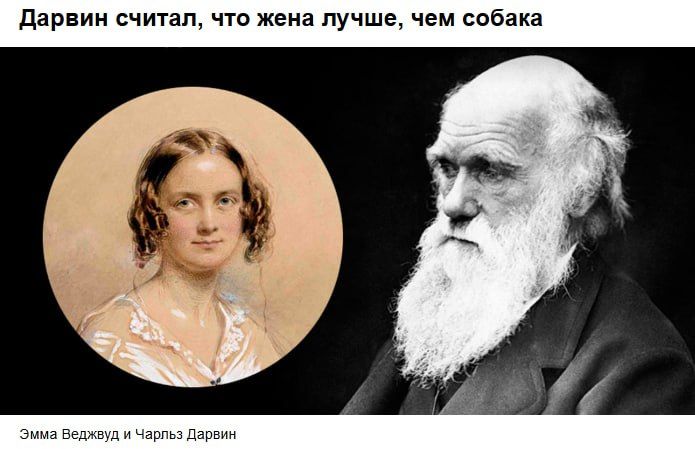 Дарвин считал, что жена лучше, чем собака