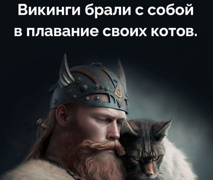 Викинги брали с собой в плавание своих котов.