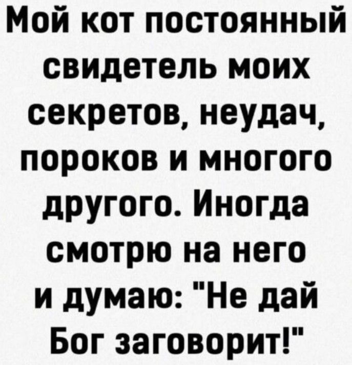 Мой кот постоянный свидетель моих секретов, неудач, пороков и многого другого. Иногda смотрю на него и думаю: 