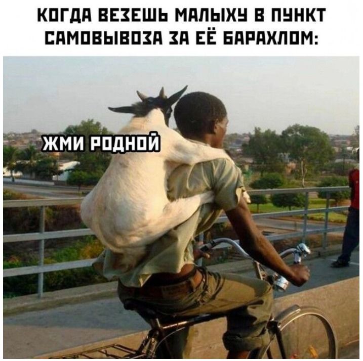 когда везешь малыx в пункт самовывоза за её барахлом:
ЖМИ РОДНОЙ