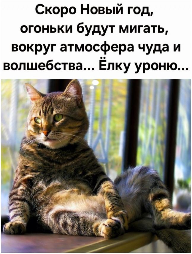 Скоро Новый год, огоньки будут мигать, вокруг атмосфера чуда и волшебства... Ёлку урону...