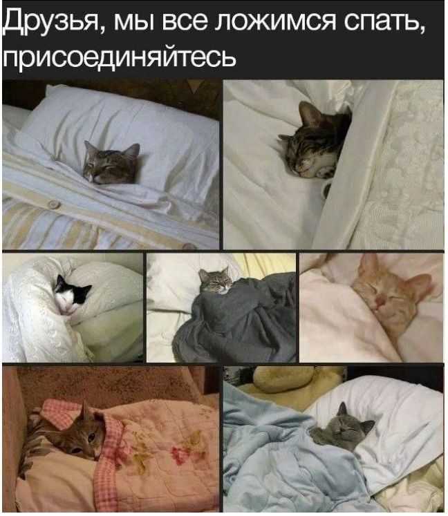 Друзья, мы все ложимся спать, присоединяйтесь
