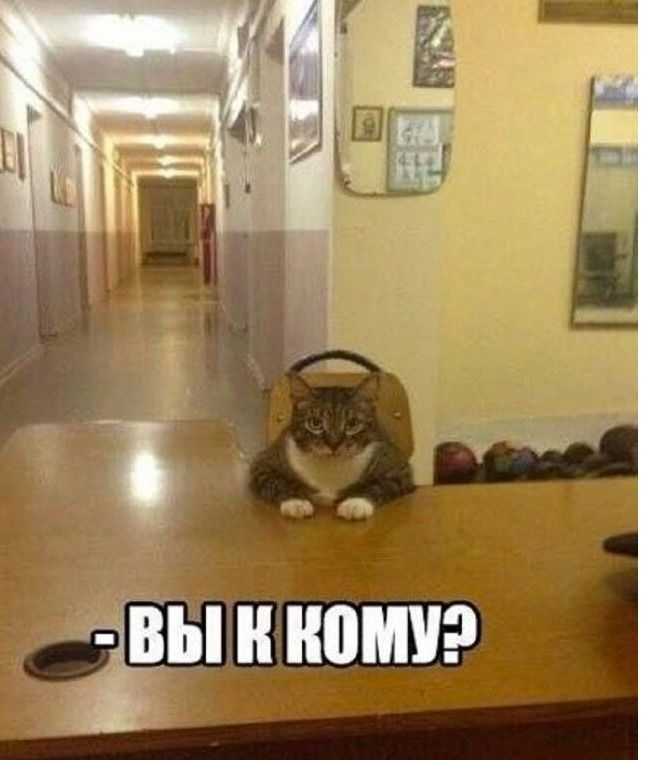 Вы к кому?